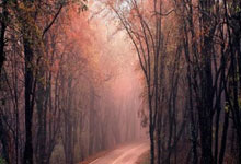 World Economy in 2026: Resilience, Transition, or Disruption? (Reddit Explodes)