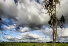 World Economy in 2026: Resilience, Transition, or Disruption? (Reddit Explodes)