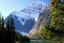 World Economy in 2026: Resilience, Transition, or Disruption? (Reddit Explodes)