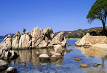 World Economy in 2026: Resilience, Transition, or Disruption? (Reddit Explodes)